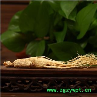 人参 生晒参25支 产地 吉林省延边朝鲜族自治州延吉市图3