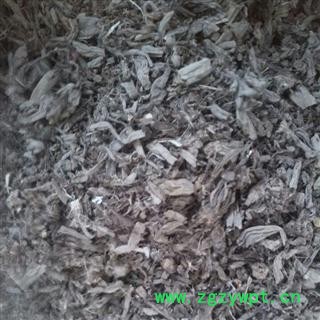 萱草根 统 产地 河北省沧州市市辖区图3