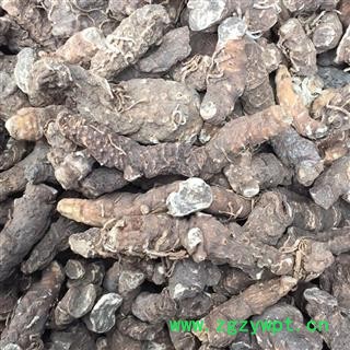 重楼七叶一枝花、金线重楼、灯台七、铁灯台、蚤休、草河车、白河车、枝花头、海螺七、螺丝七 统 产地 云南省 正品保证 含量无忧 双鹏药材行 可提供打粉图2