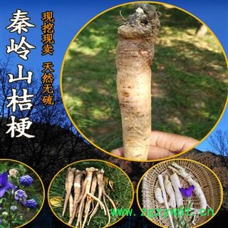 秦岭野生桔梗 6年以上野生桔梗药食两用干桔梗 桔梗泡菜入药1000g图3