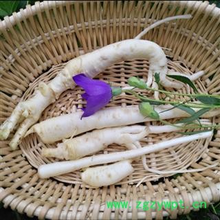 秦岭野生桔梗 6年以上野生桔梗药食两用干桔梗 桔梗泡菜入药1000g图2