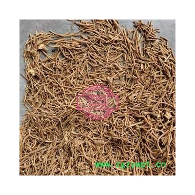 白薇 白薇净根切段 产地 山东省