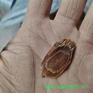 红参 8年生无糖红参大片产地直供 产地 吉林省白山市抚松县图2