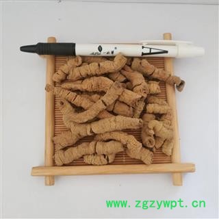 巴戟肉&【国舜堂】巴戟天大选 一手货源 规格齐全 量大从优 中药材批发供应【巴戟肉】图3