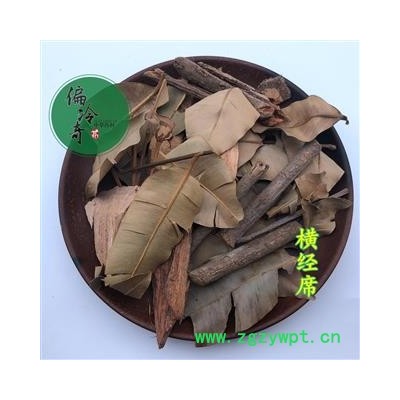 横经席 跌打将军 碎骨莲 皮子黄 梳篦王 统 产地 广西壮族自治区玉林市玉林药市