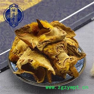 金毛狗脊 选 产地 四川省图2