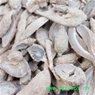 《满198包邮》郁金 郁金 光皮郁金 好统货  量大包邮 产地 广西壮族自治区图2