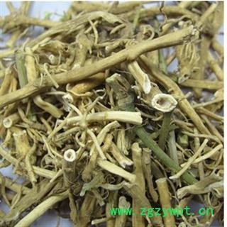 白前 统 产地 湖北省荆州市市辖区图3