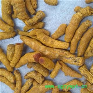 姜黄 统 产地 四川省广元市旺苍县图2