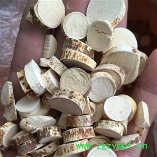 五指毛桃 粗叶榕、三龙爪、亚桠、五爪龙、五指牛奶 选 产地 广西壮族自治区图2