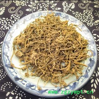 大巴山野生扣子七 珠子参  产地重庆市巫山县图2