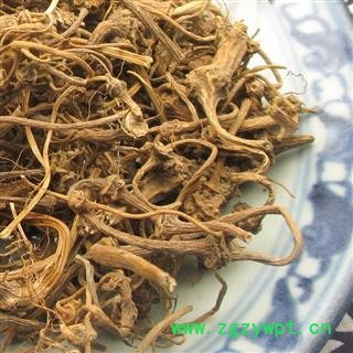 大巴山野生扣子七 珠子参  产地重庆市巫山县图3