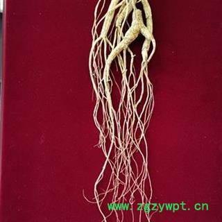 人参 长白山百年野山参干参重40克体型完美精美礼盒国家权威鉴定产地 产地 吉林省白山市抚松县图3