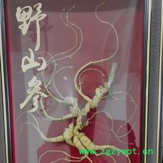 人参 百年野山参干参重50克精美包装国建权威鉴定 产地 吉林省白山市抚松县图2