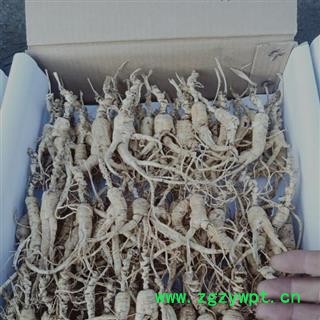 人参 20年林下山参残参适合打粉入药产地直供 产地 吉林省白山市抚松县图2
