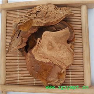 狗脊【国舜堂】金毛狗脊 源头货源 量大从优 中药材批发供应【金毛狗脊】图3