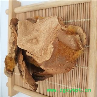 狗脊【国舜堂】金毛狗脊 源头货源 量大从优 中药材批发供应【金毛狗脊】图2