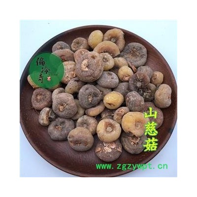 山慈姑 山茨菇 慈姑 冰球子 人头七 统 产地 贵州省