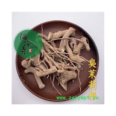 臭茉莉根 臭矢茉莉 大髻婆 过墙风 冬地梅 统 产地 广西壮族自治区桂林市