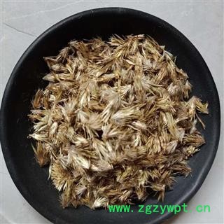 漏芦花 统货 产地 吉林省 小影全品类中药材店铺图3