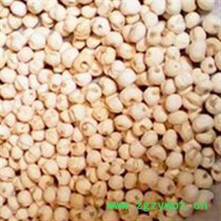 《满198包邮》平贝母 平贝母 1.0左右 产地 吉林省图2