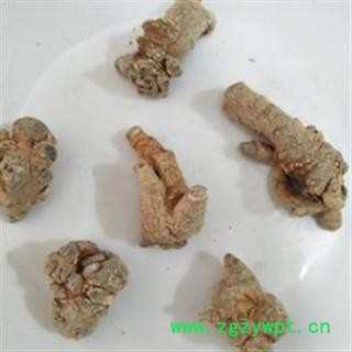 三七 三七60头三七60头水洗标准货纯干滑头三七 产地 云南省图3