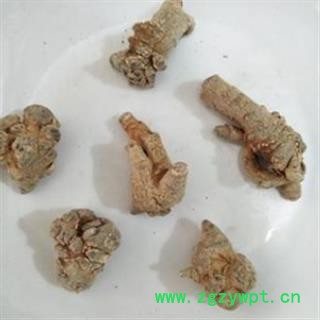 三七 三七60头三七60头水洗标准货纯干滑头三七 产地 云南省图2