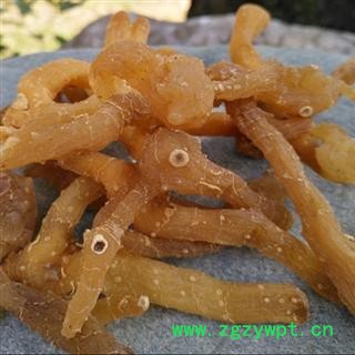 秦岭山区纯正野生黄精中药材黄精1000g精选无硫鸡头黄精天然野生图2