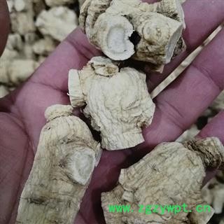 西洋参 西洋参粒头软质25克产地直供 产地 吉林省白山市抚松县图2