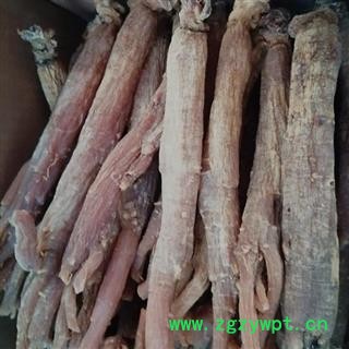 红参 特选优质无糖红参16-18支产地直供主干长15公支持货到付款 产地 吉林省白山市抚松县图2
