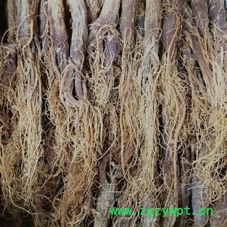 红参 全须无糖红参20-25支可装礼盒产地直供 产地 吉林省白山市抚松县图2