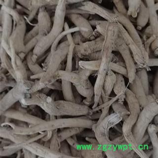 西洋参 西洋参小长支硬质产地直供 产地 吉林省白山市抚松县图2