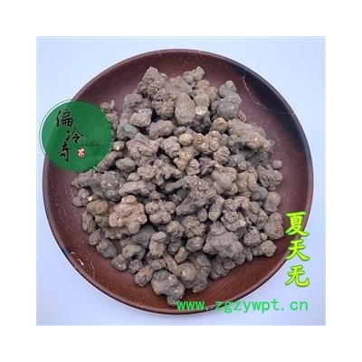 夏天无 夏天无统货 产地 湖南省