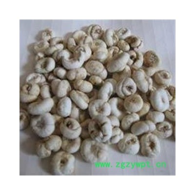 《满198包邮》平贝母 平贝母大选货0.8 产地 吉林省