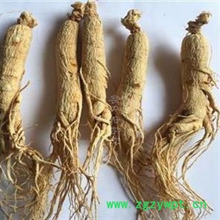 《满198包邮》人参 生晒参38支 无硫原皮参 今年新货 纯干货 产地 吉林省图2