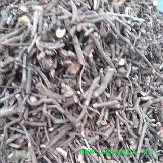 茜草 选 产地 山西省临汾市襄汾县图3