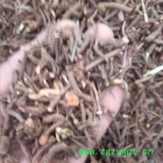 茜草 选 产地 山西省临汾市襄汾县图2