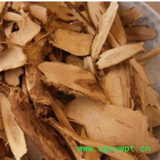 刺五加 刺五加根 产地 吉林省吉林市市辖图2