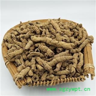 巴戟天 选货 抽芯率百分之97以上 产地 广东省图2