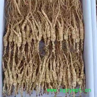 人参 15年林下山参残参适合打粉入药产地直供 产地 吉林省白山市抚松县图2