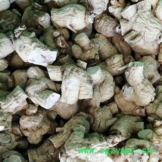 西洋参 西洋参粒头16-18克产地直供 产地 吉林省白山市抚松县图2