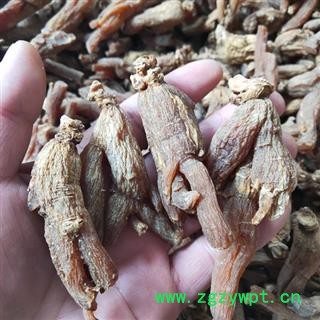 红参 无糖红参2020版药典标准30支左右产地直供 产地 吉林省白山市抚松县图2