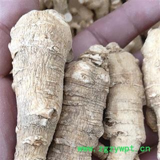 西洋参 西洋参短支12-15克支货到付款 产地 吉林省白山市抚松县图2