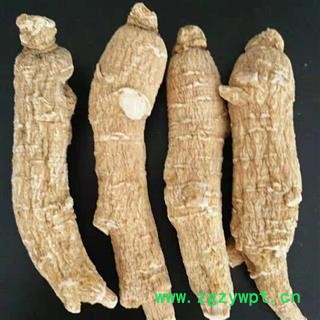 西洋参 西洋参短支12-15克支货到付款 产地 吉林省白山市抚松县图3