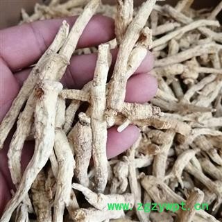 西洋参 西洋参小条符合2020版药典标准产地直供支持货到付款 产地 吉林省白山市抚松县图2