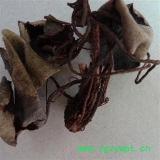 虎耳草 统 产地 广西壮族自治区 库存图2