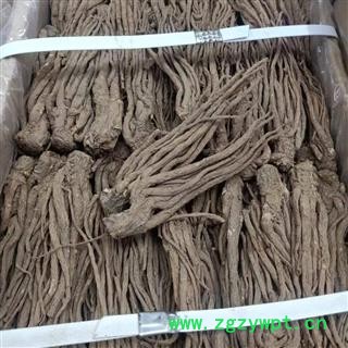 当归 全当归无硫中条50支以内 产地 甘肃省图2