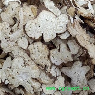 白术 选装 产地 安徽省图3