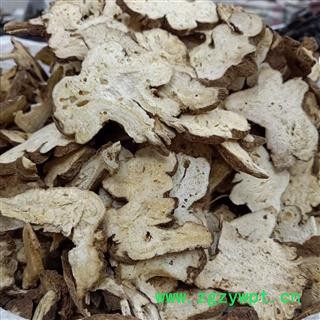 白术 选装 产地 安徽省图2