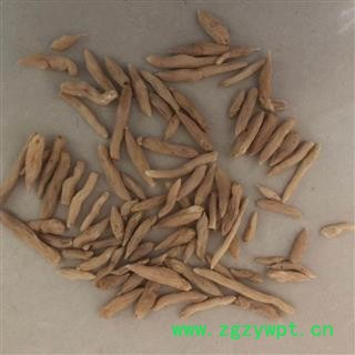 麦冬 四号筛 选货 产地 湖北省 小影全品类中药材店铺图2